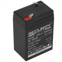 Аккумуляторная батарея SECURITY FORCE 6 В, 4.5 Ач (SF 6045)