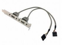Планка ADVANTECH расширения 1700100170 Cable 2*5P-2.54/USB-A(F)*2 17.5cm W/BKT F/5, with bracket, OEM (1700100170-S)
