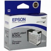 Картридж EPSON Stylus Pro 3800 светло светло-черный (C13T580900)