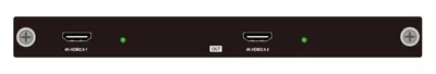 Карта выхода HDMI 4K60 Digibird DB-VWC2-HP-OC-J4K60HDMI2 2-канальная