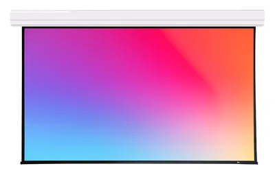 Экран с электроприводом Lumien Master Large Control 248" — фото 2
