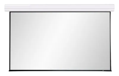 Экран с электроприводом Lumien Master Large Control 275" — фото 3