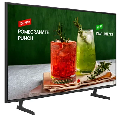 Коммерческий телевизор Samsung BE50D-H 50" — фото 3