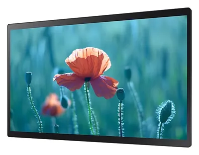 Профессиональный дисплей Samsung QB13R-M 13"